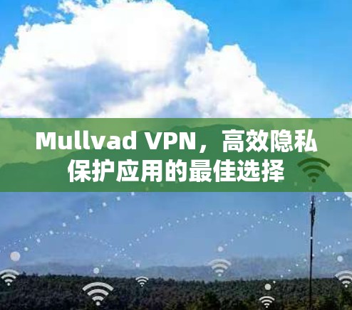 Mullvad VPN,高效隐私保护应用的最佳选择 Mullvad VPN,高效隐私保护应用的最佳选择