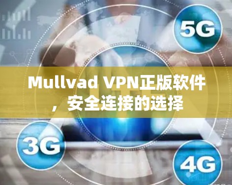Mullvad VPN正版软件,安全连接的选择 Mullvad VPN正版软件,安全连接的选择