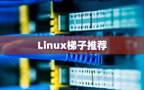 Linux梯子推荐 Linux梯子推荐