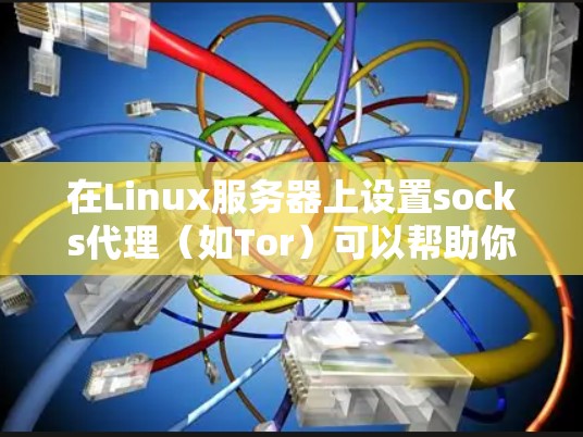 在Linux服务器上设置socks代理(如Tor)可以帮助你通过本地浏览器访问远程服务器或受限资源。以下是详细的步骤指南 在Linux服务器上设置socks代理(如Tor)可以帮助你通过本地浏览器访问远程服务器或受限资源。以下是详细的步骤指南