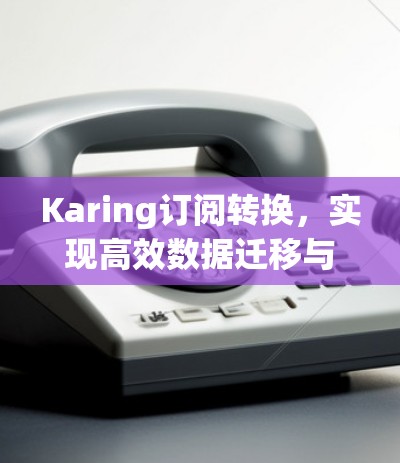 Karing订阅转换,实现高效数据迁移与格式转换 Karing订阅转换,实现高效数据迁移与格式转换
