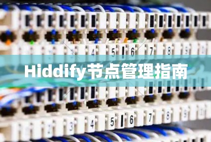Hiddify节点管理指南 Hiddify节点管理指南