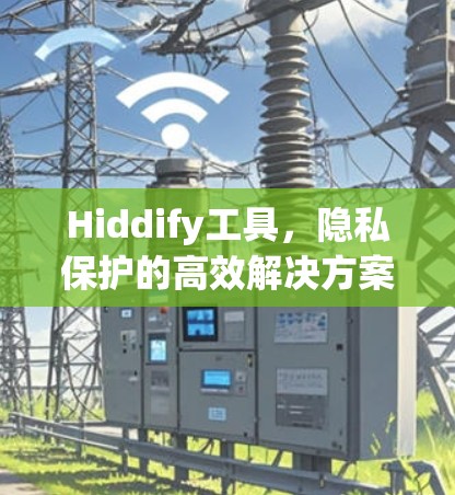 Hiddify工具,隐私保护的高效解决方案 Hiddify工具,隐私保护的高效解决方案