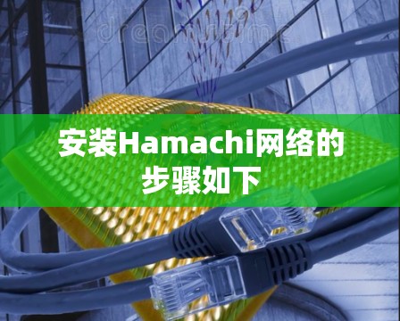 安装Hamachi网络的步骤如下 安装Hamachi网络的步骤如下
