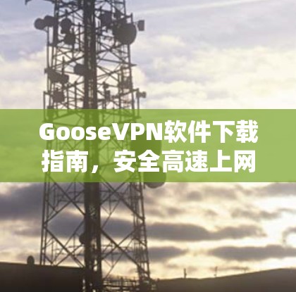 GooseVPN软件下载指南，安全高速上网解决方案