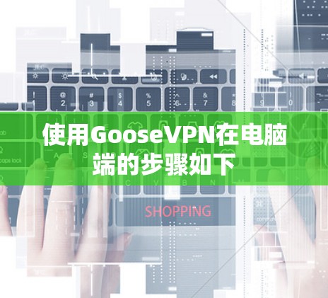 使用GooseVPN在电脑端的步骤如下 使用GooseVPN在电脑端的步骤如下