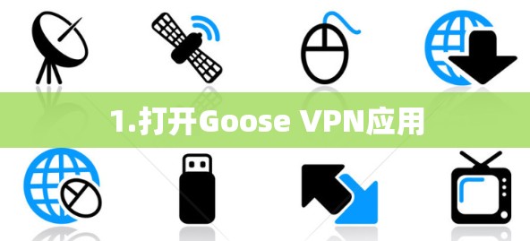 1.打开Goose VPN应用