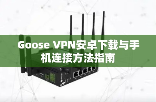 Goose VPN安卓下载与手机连接方法指南 Goose VPN安卓下载与手机连接方法指南