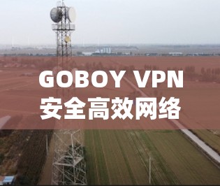 GOBOY VPN安全高效网络通讯解决方案说明
