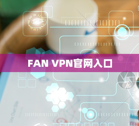 FAN VPN官网入口 FAN VPN官网入口