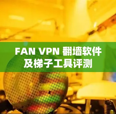 FAN VPN 翻墙软件及梯子工具评测