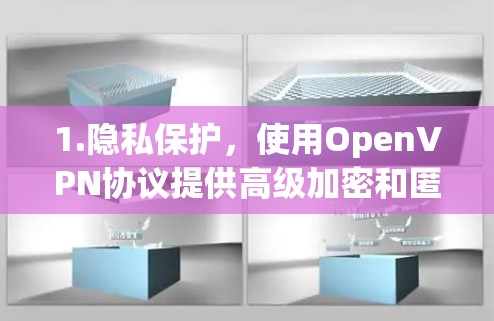 1.隐私保护，使用OpenVPN协议提供高级加密和匿名性