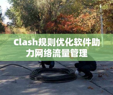 Clash规则优化软件助力网络流量管理