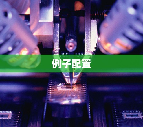 例子配置