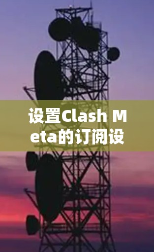 设置Clash Meta的订阅设置可以通过以下步骤完成