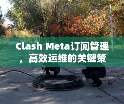 Clash Meta订阅管理，高效运维的关键策略
