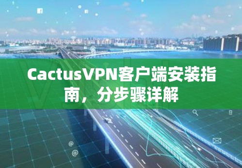 CactusVPN客户端安装指南,分步骤详解 CactusVPN客户端安装指南,分步骤详解