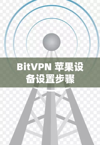 BitVPN 苹果设备设置步骤 BitVPN 苹果设备设置步骤