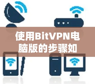 使用BitVPN电脑版的步骤如下 使用BitVPN电脑版的步骤如下